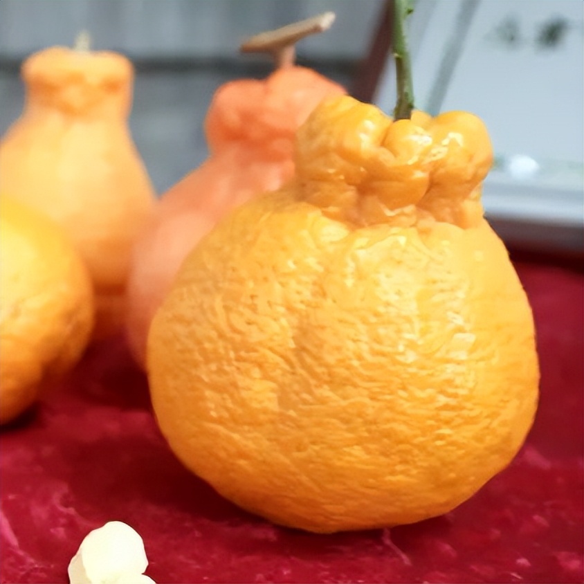 中轴西艺｜中轴线西翼本地小众非遗技艺类必打卡路线