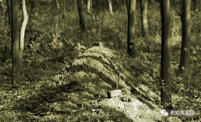 陈凯歌老照片大全集,陈凯歌的知青岁月