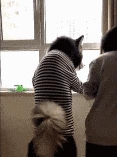 这是我见过最牛的一字马,这是史上最强的一字马无人敢挑战