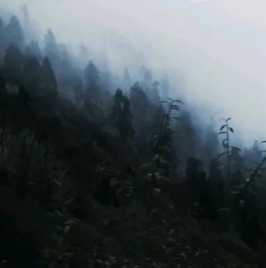 那些惊艳的香水广告词,惊艳香水广告文案分析