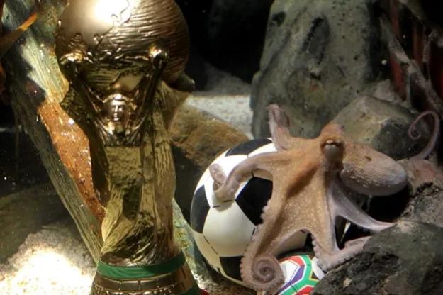 22年世界杯感动瞬间,2014世界杯10大感动瞬间