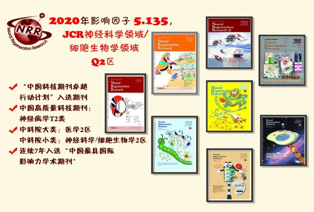 中国脊髓损伤最新突破,中国治疗脊髓损伤
