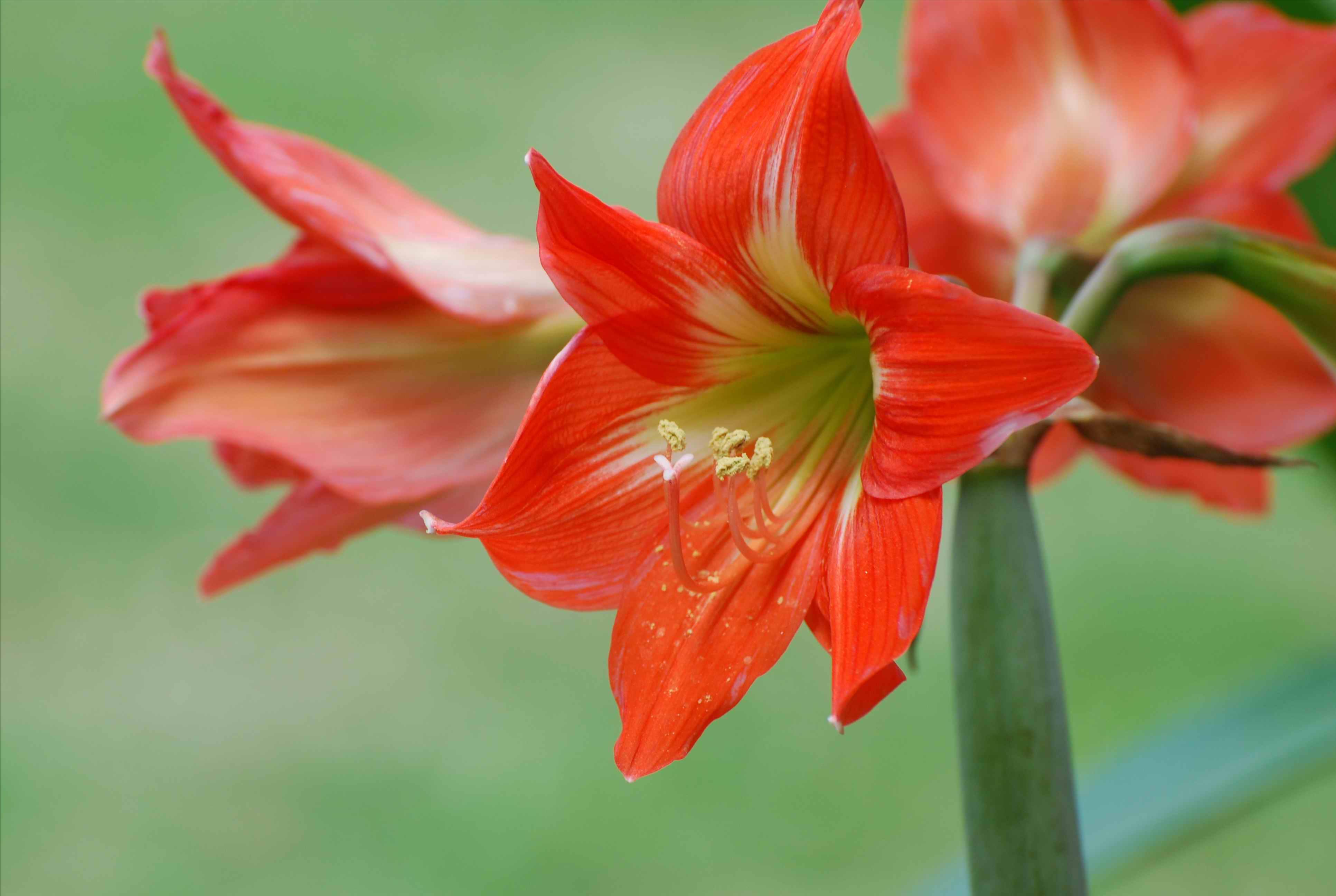 一生勤奋，关爱家庭；缅怀我敬爱的父亲黄啟叶先生