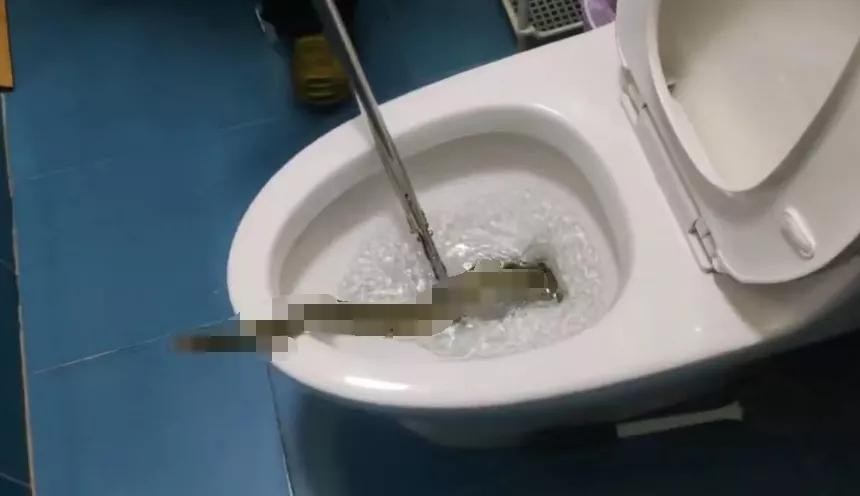 蛇从马桶里面爬出来咬伤人,女子被蛇咬到手上有蛇纹