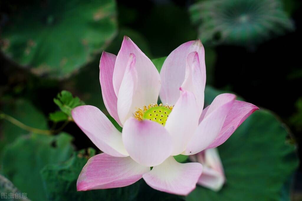 人一生都要行善积德多做善事,诸恶莫作众善奉行行善积德