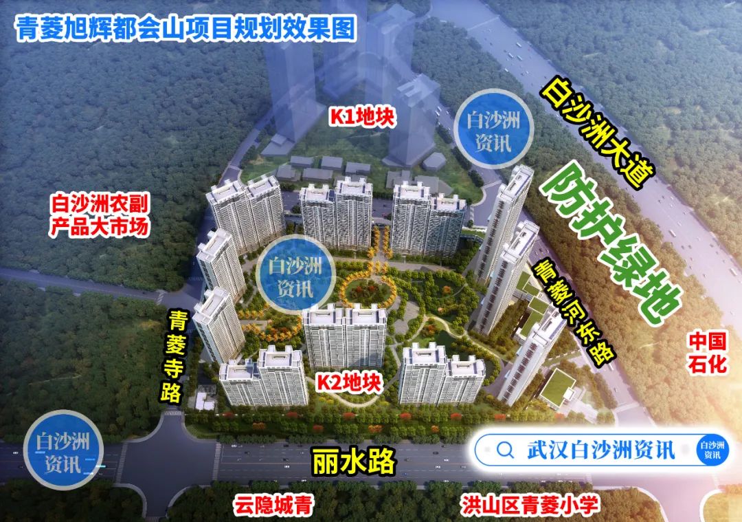 白沙洲青菱小学对口的初中,白沙洲旭辉都会山对口学校