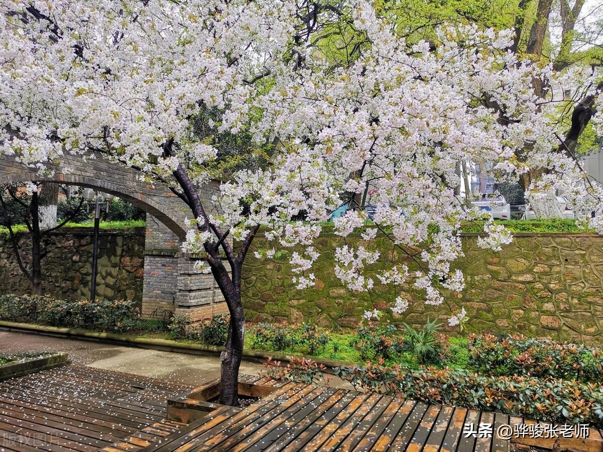 八大美院有985和211吗,八大美院有几个985院校