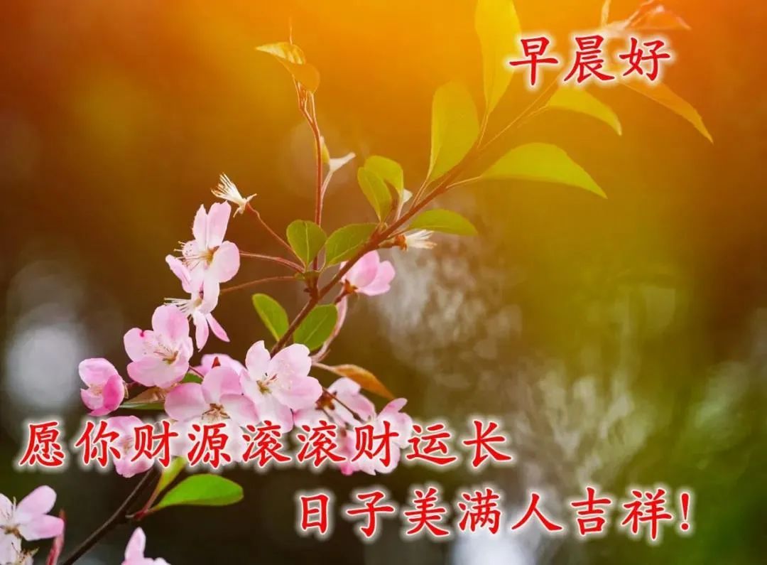 最新最美雨天早上好问候文字图片,夏日里最美的早晨问候图片大全