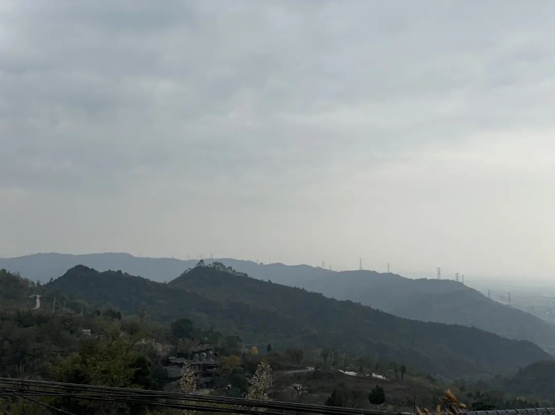 成都旅游豌豆尖,成都仰天窝近郊爬山推荐