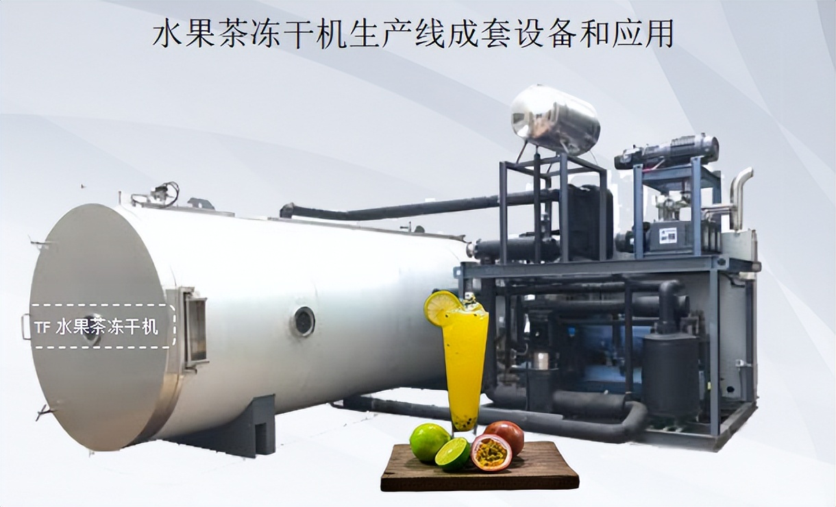 水果冻干机生产厂家,冻干果茶生产流水线设备