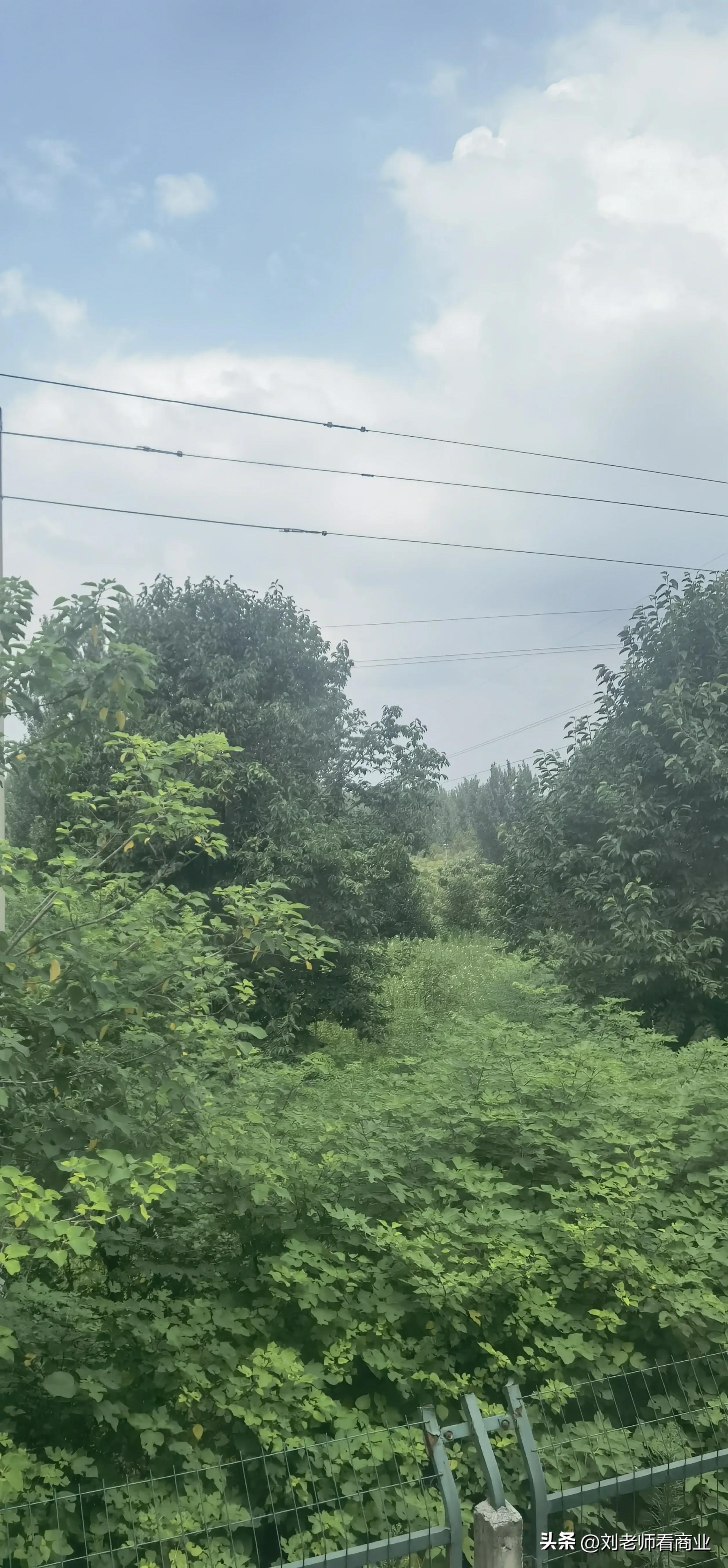 深圳至洛阳k536途经站点,从上海到洛阳k738列车