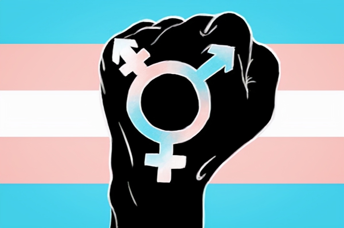 西方女权主义陷阱,西方价值观陷阱