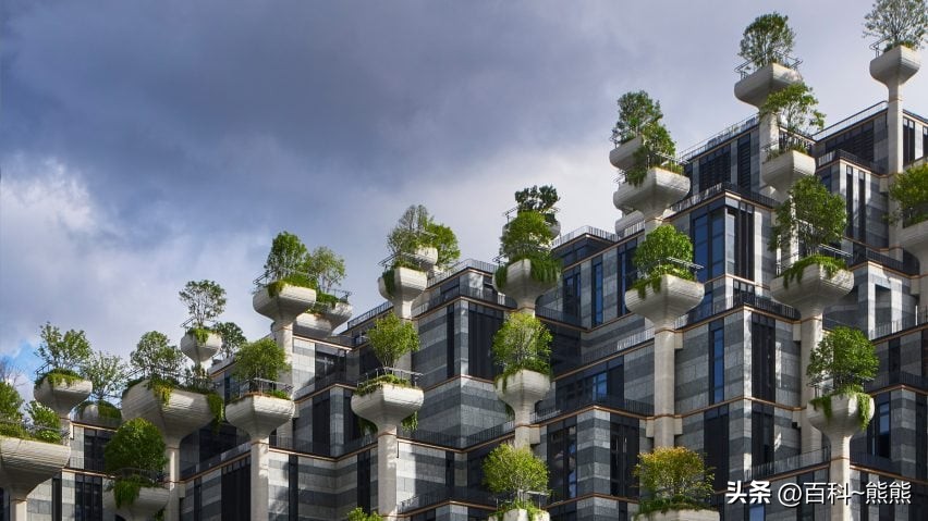 植物元素设计的椅子,植物元素的椅子设计