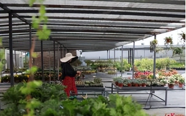 “多姿多彩”的法语世界：与颜色有关的习语表达