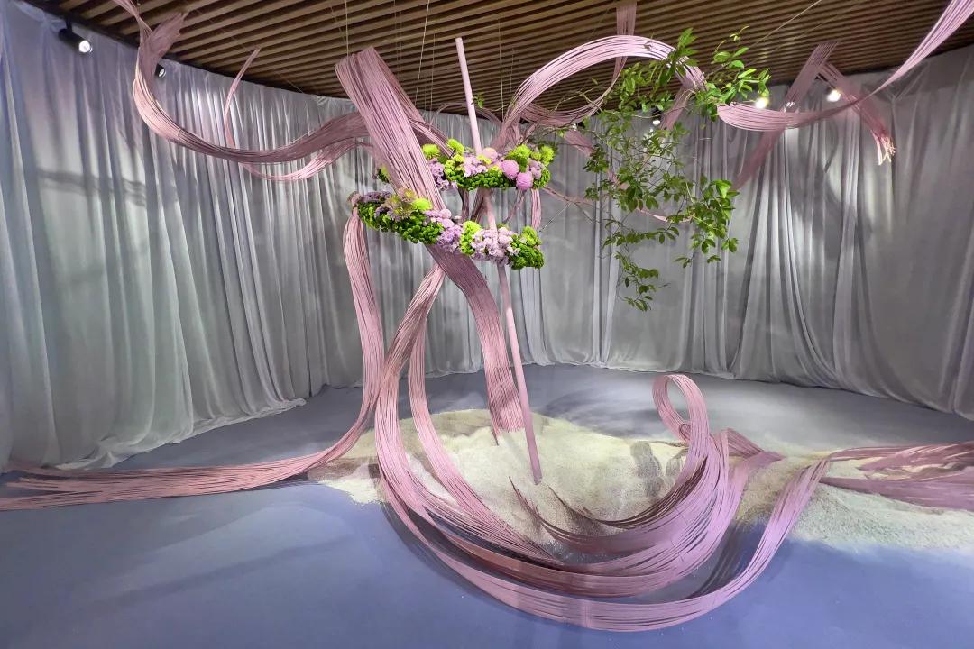 66万盆菊花东湖公园菊花展,东湖公园菊花展有哪些菊花