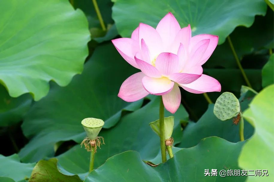 花都红山村自由行攻略,广州花都公园旅游攻略