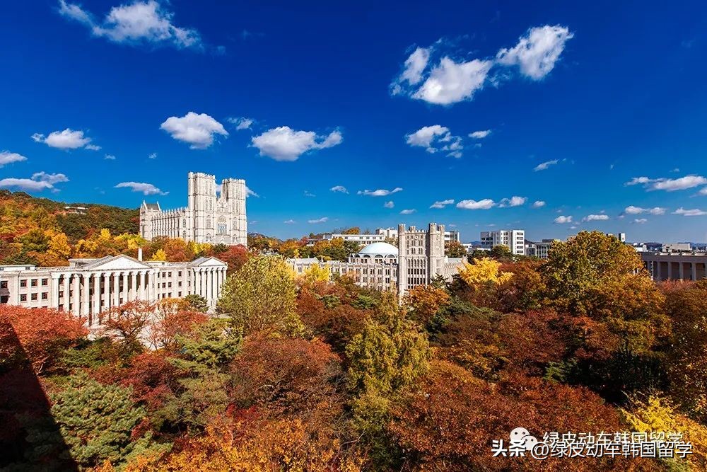 韩国三大学院有哪些,韩国最厉害的学校是什么