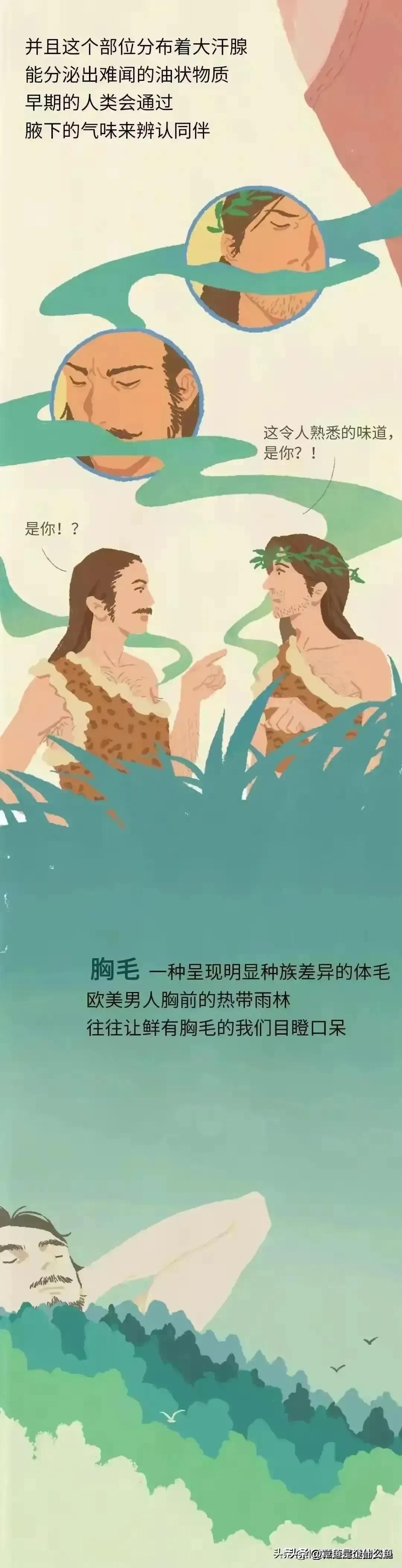 人类的毛发为什么是鳞片状,人类体毛退化原因揭秘