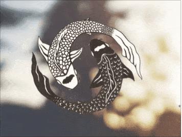 看了西方戒色*党**的疯逼操作，我再也不嘲笑戒色吧了