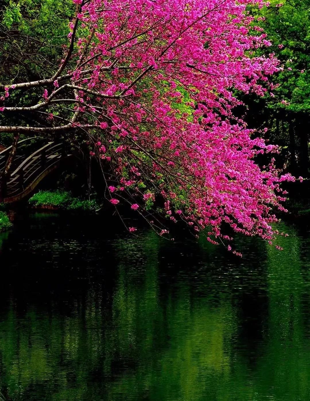 散文中的人生,散文欣赏人生