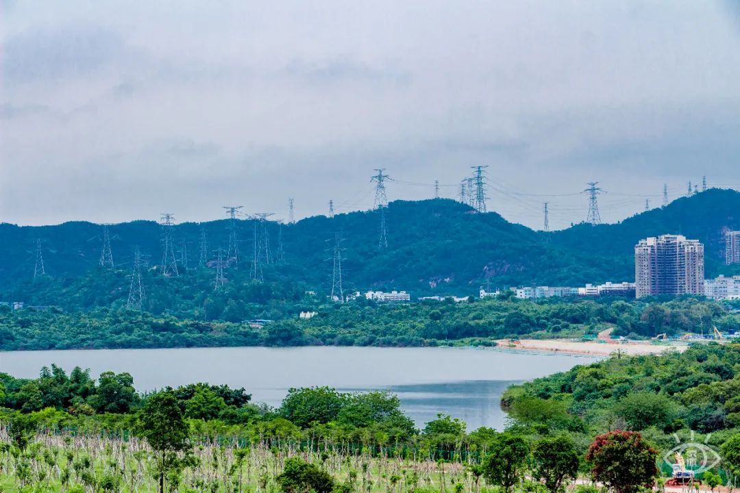 家住深圳必去的公园绿道,深圳环湖绿道好玩么