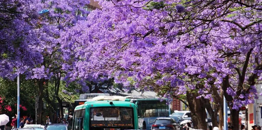 天猫有正品吗,天猫正品超市直营