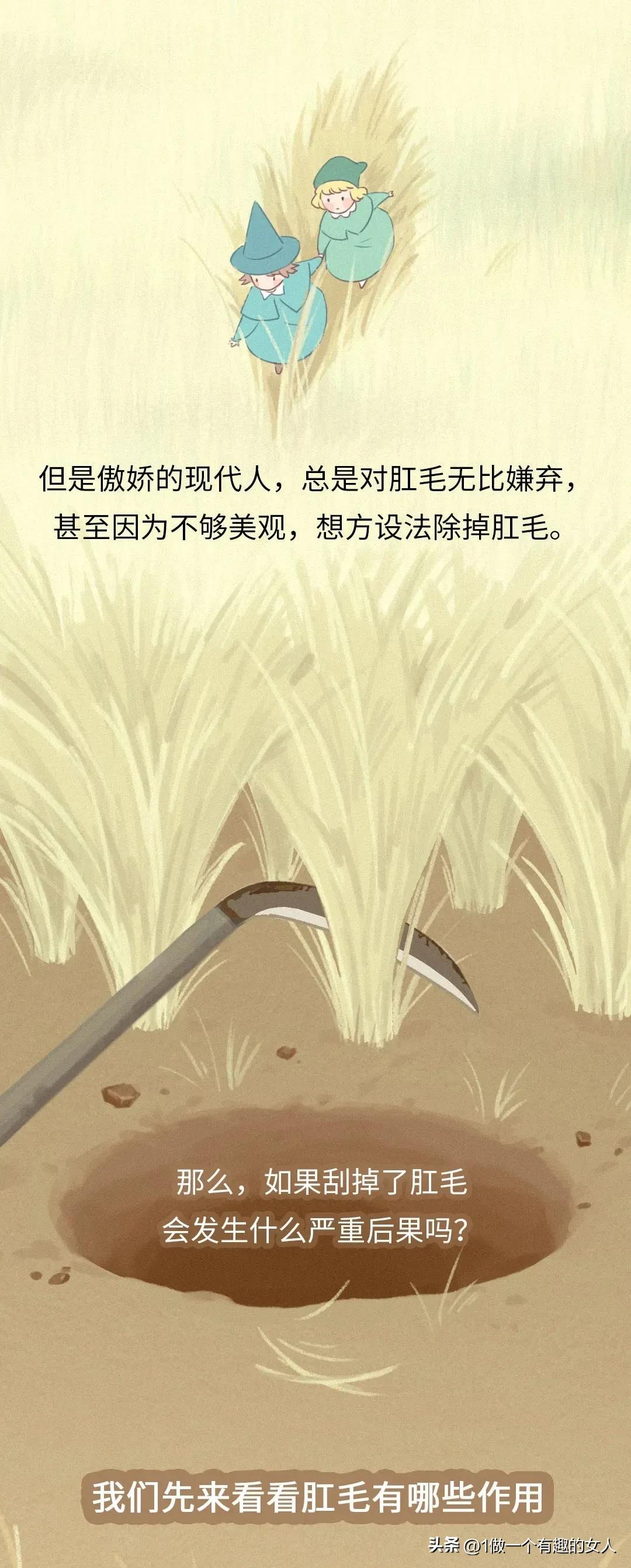 菊花毛、*处私**的毛能随便剃吗？有危害吗？