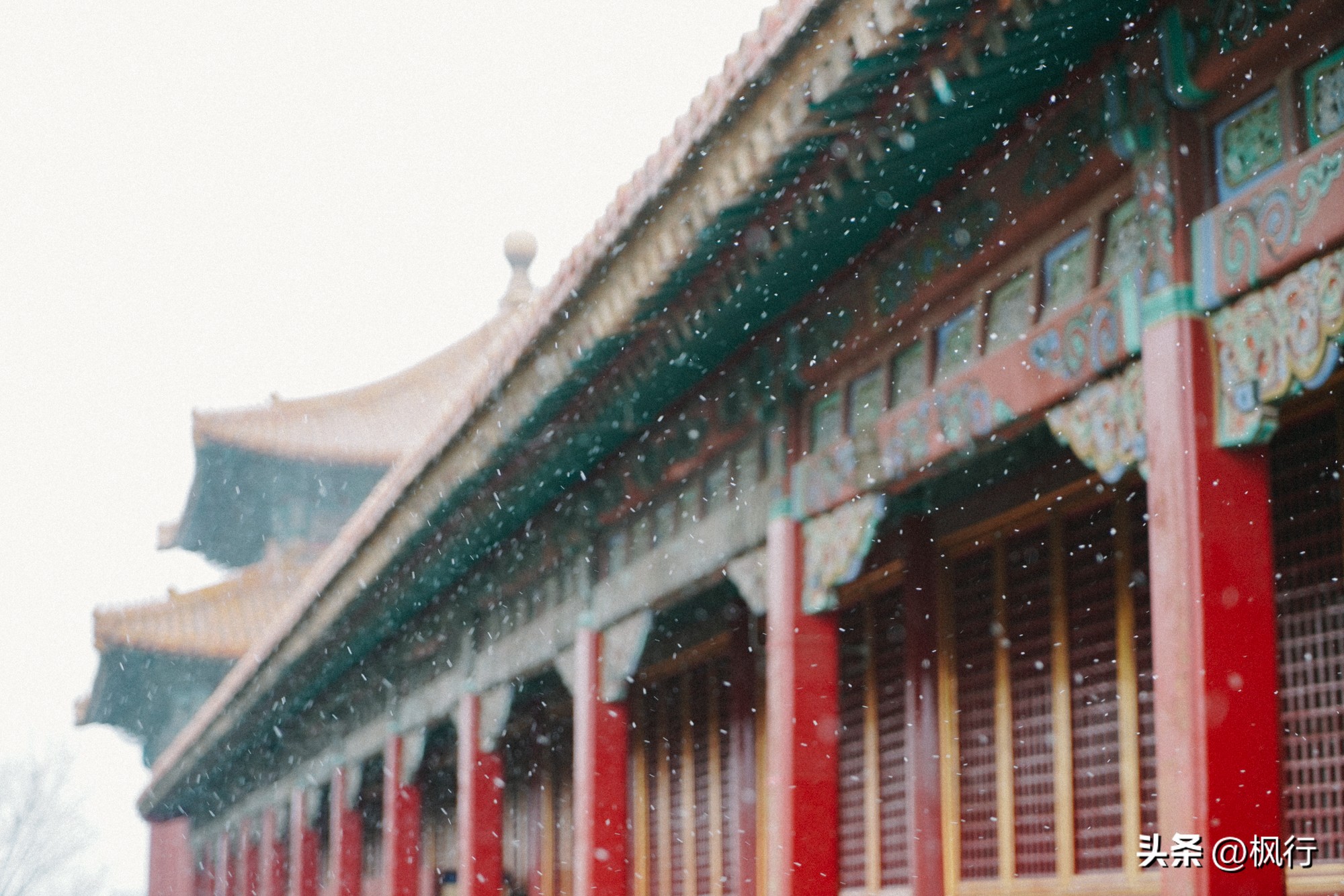 故宫开启雪景模式北京迎今冬初雪,北京下雪去哪里看故宫最好看