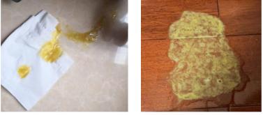 什么是细小和犬瘟,什么是细小的狗