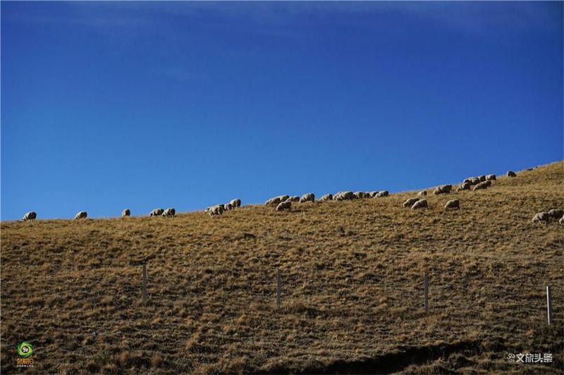 昆明旅行攻略免费景点推荐一日游,云南1至2天旅游推荐