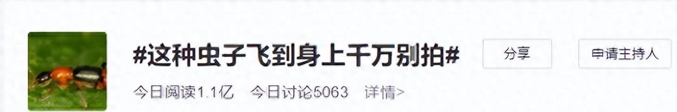 硫酸虫咬了怎么处理,硫酸虫导致皮肤损伤处理