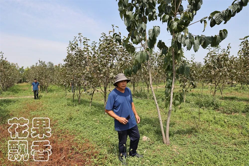 老农告诉大家农作物种植,农资人对农户的忠告