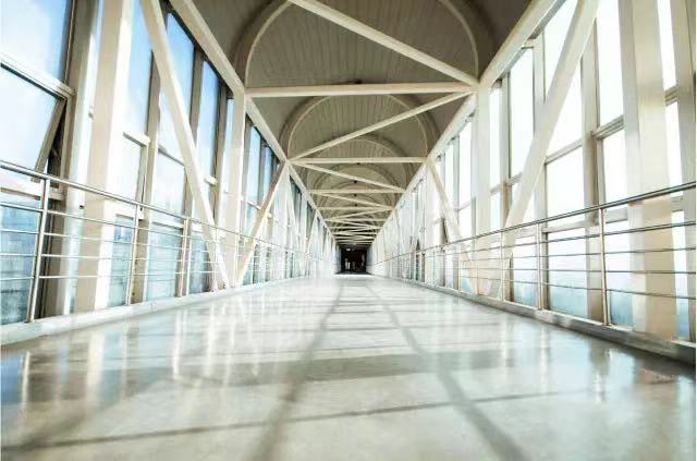 大连外国语大学2019届毕业生,大连外国语大学小语种专业