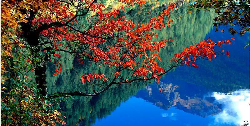 人间仙境九寨沟图片,人间仙境九寨风景图片