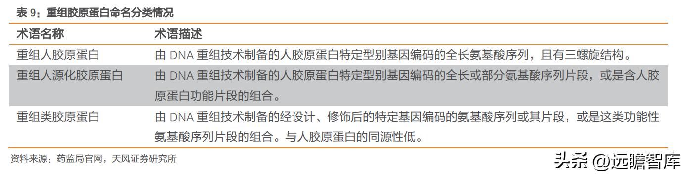 巨子生物重组胶原蛋白,巨子生物三型胶原蛋白获批
