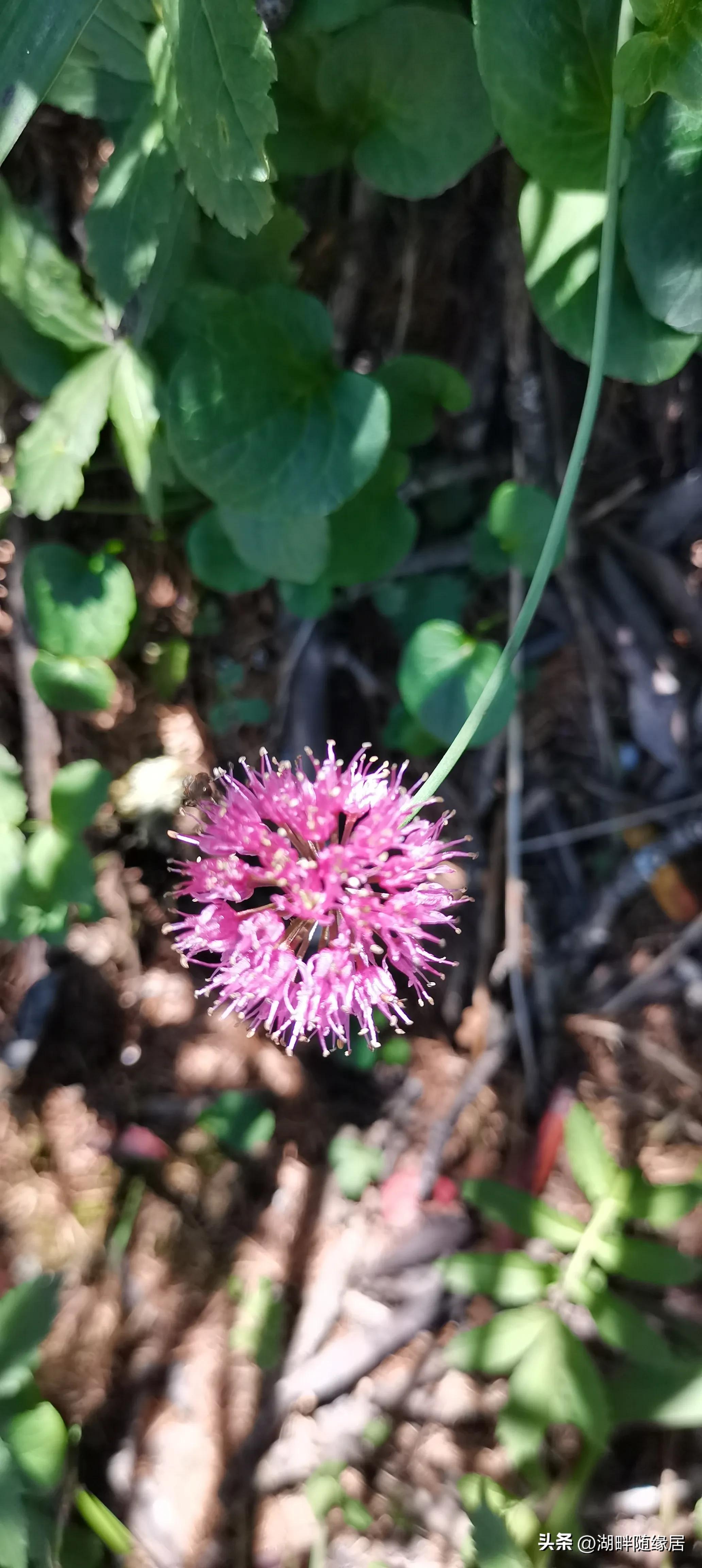 要保持乐观开朗的心态,如何让孩子开朗乐观的心态