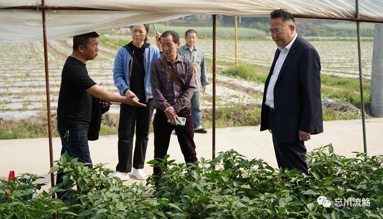 烟火人间藁城,烟火人间高唐