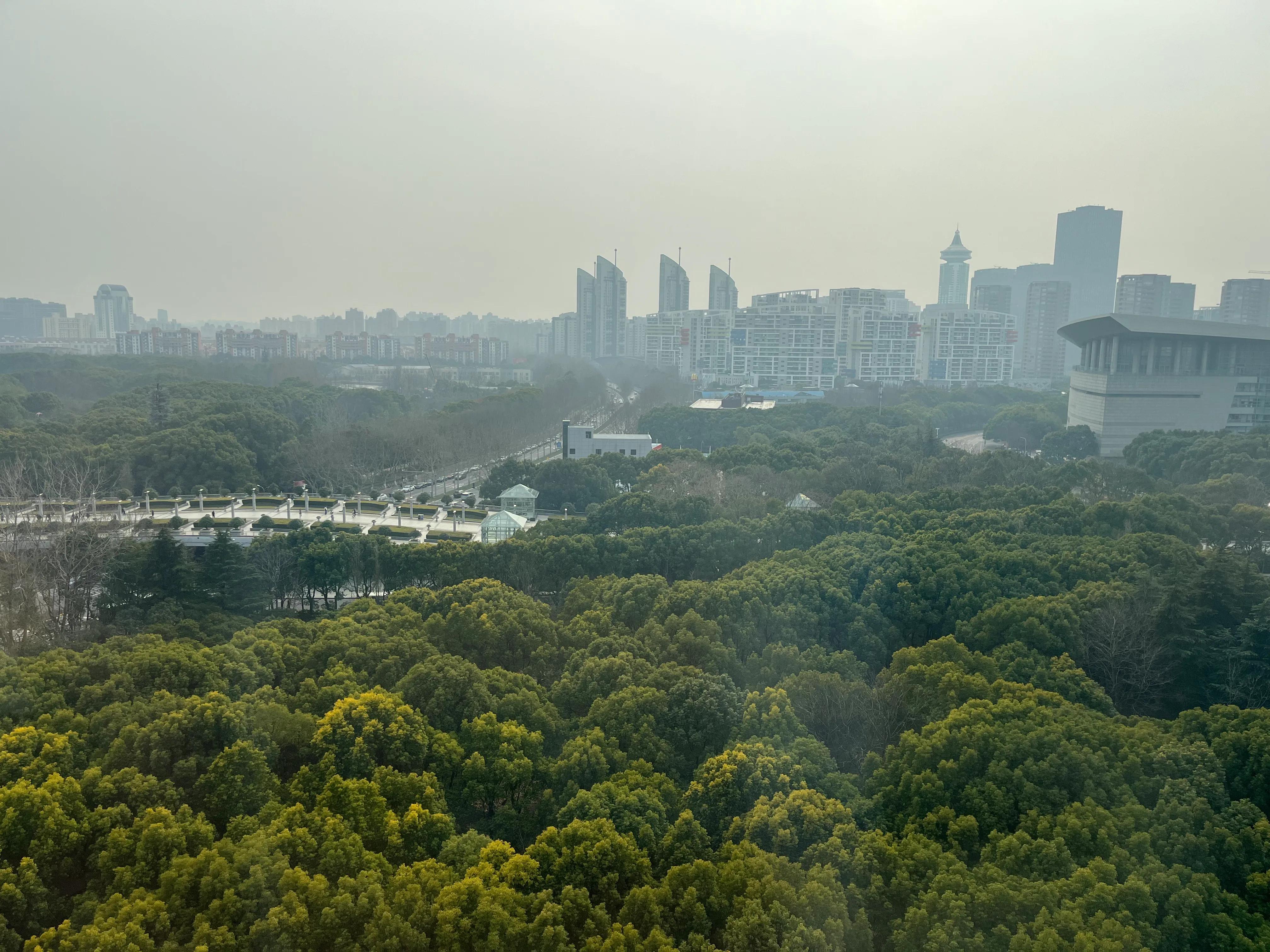 上海免费游玩的地方,上海免费游玩的地方推荐