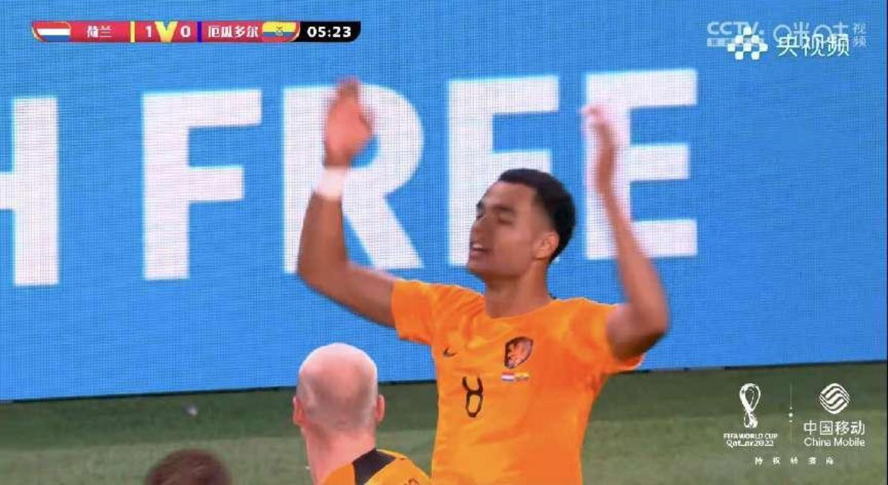 十六强淘汰赛对阵图世界杯战报,世界杯赛程表16强对决