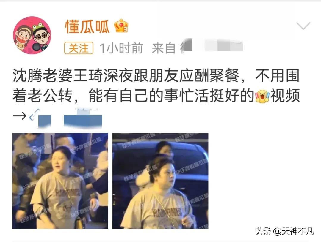 沈腾老婆王琦全身照,沈腾妻子王琦身材