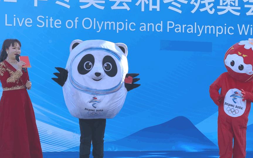 全力以赴做好赛事承办,全力以赴北京冬奥会