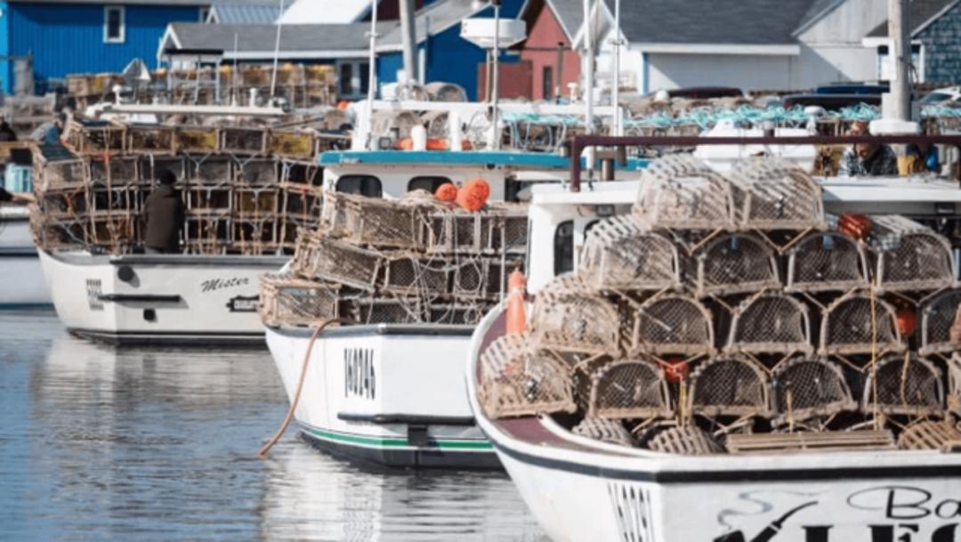 进口跨境电商怎样做好营销,跨境进口电商如何盈利