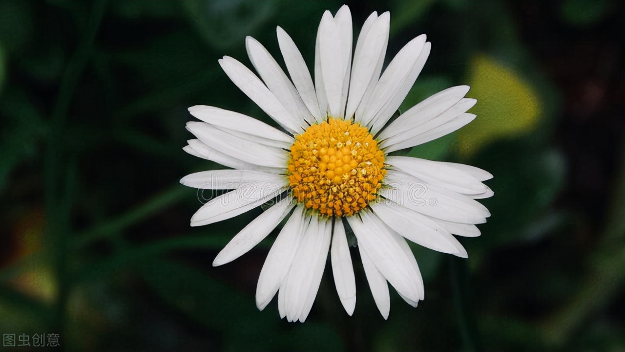 清都的原创诗词，4年作品合集，用文字记录生活