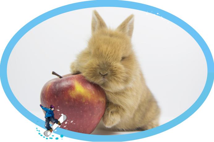 新手养兔子之疾病预防篇,养兔子怎么预防黄鼠狼