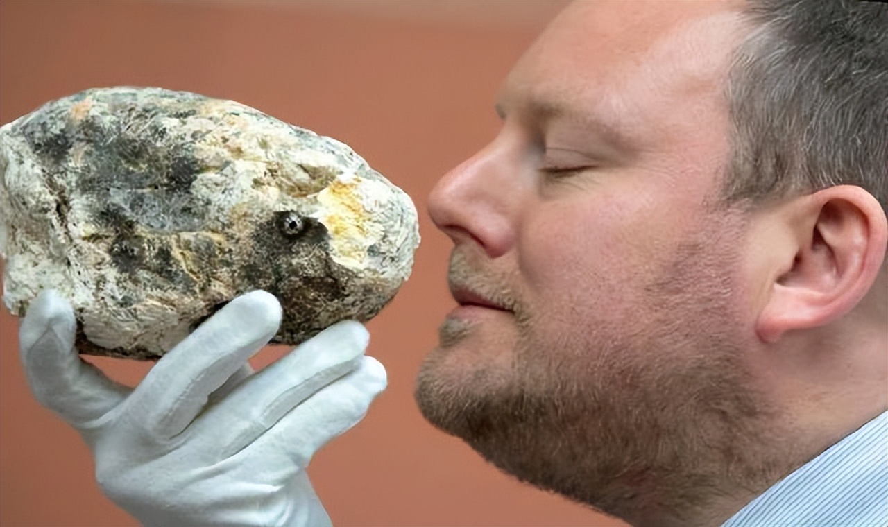 诡异的鲸,最诡异的鲸