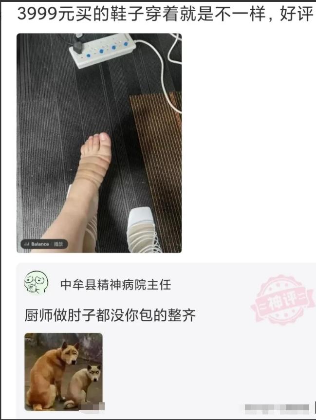 神回复：真假美猴王？哪个才是真的蜜雪冰城？神评亮了啊