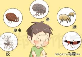 中医治疗结节性痒疹怎么治,孩子结节性痒疹和中医的关系