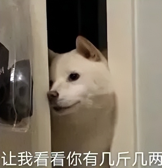 草莓热奶塔,草莓塔热奶宝