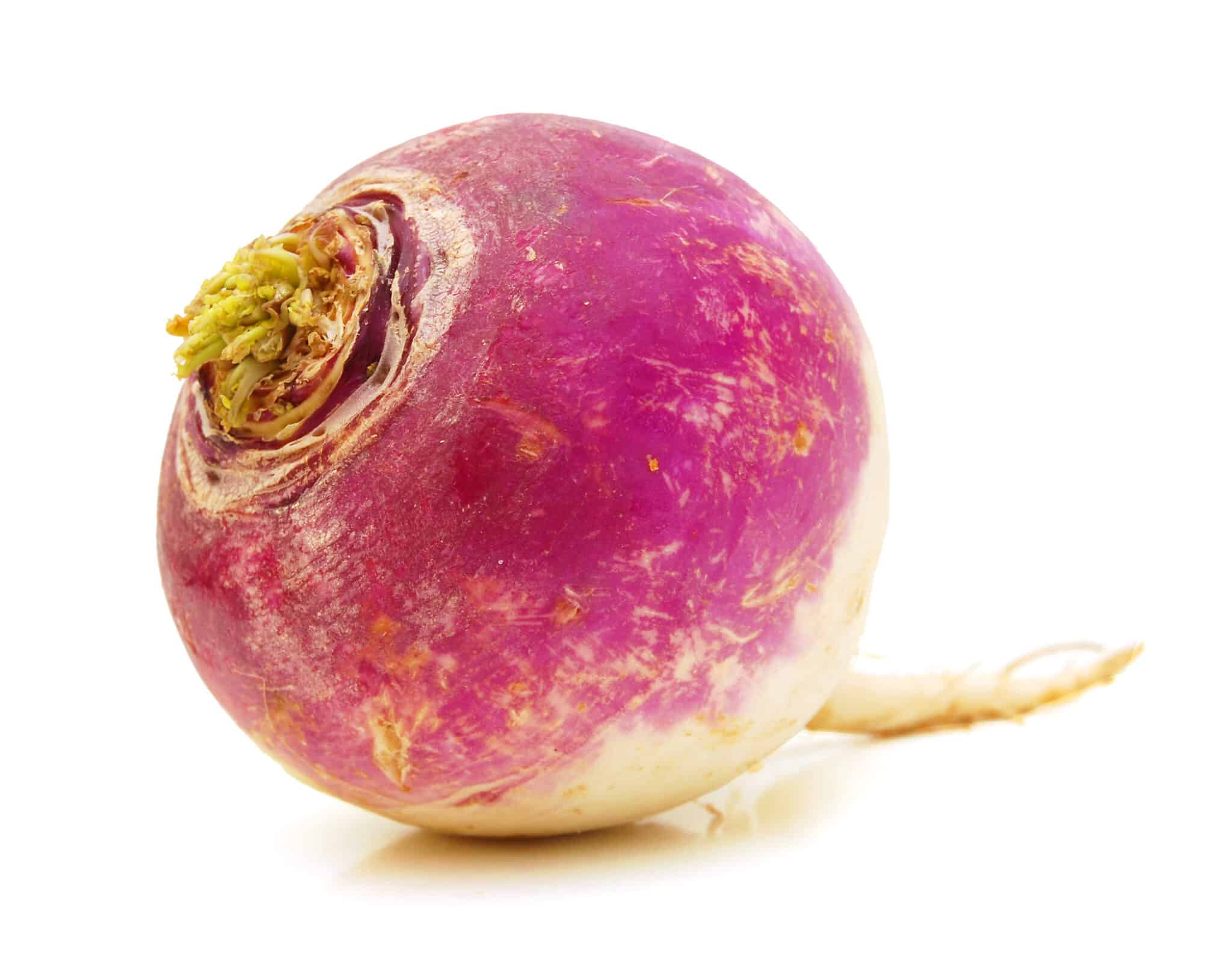 人类历史上最伟大的蔬菜,我们常吃的蔬菜哪种历史最久