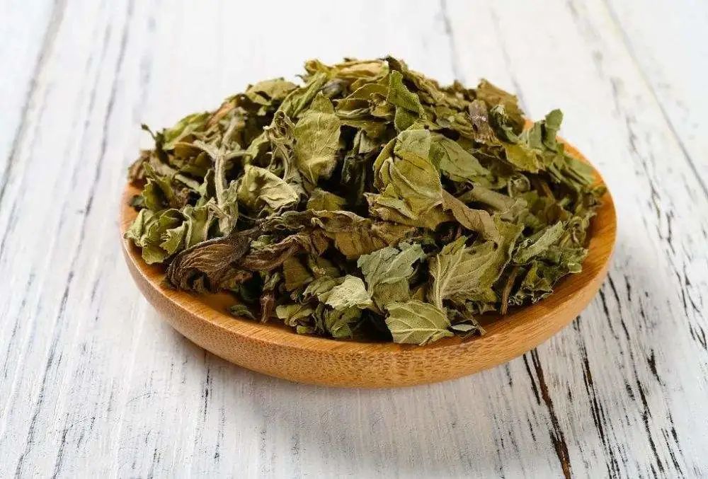 国医大师伍炳彩：逍遥散治疗浅表性胃炎案